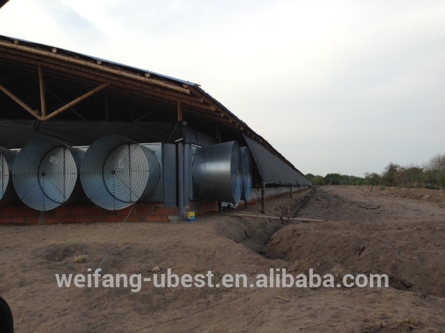 Poultry farm equipment for chicken house