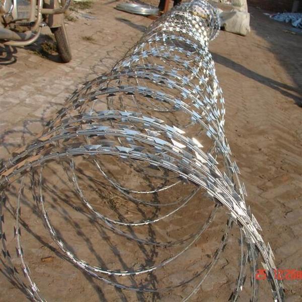 450mm coil diameter concertina razor barbed wire