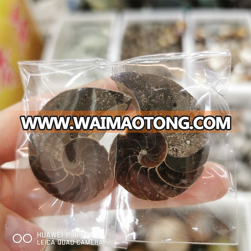 3-5CM Wholesale Natural Ammonite Fossils Jade Madagascar Conch Fossils Slices Conch Shell for Decor