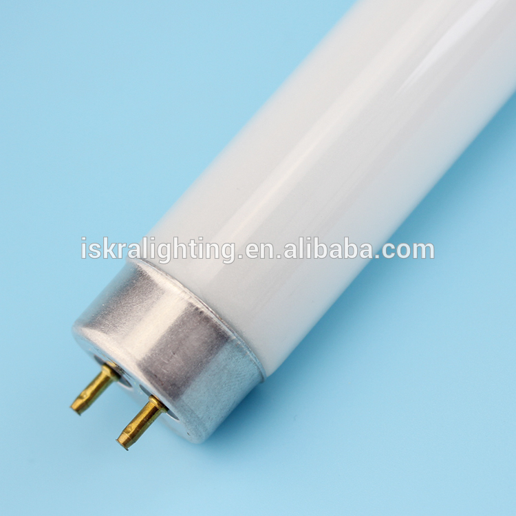 220v G13 18W 30W 36W common energy saving T8 fluorescent tubes lamps