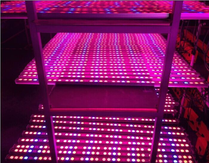 2 years warranty hydroponic systems IP67 waterproof 1.2meter 108w led grow bar light