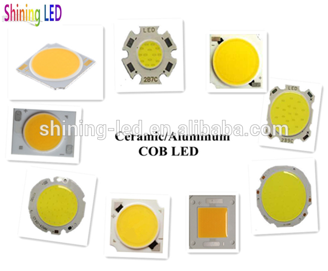 High Color Rendering Index CRI 90Ra Ceramic 10W COB LED