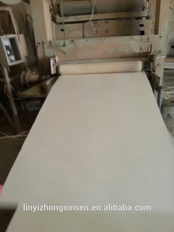 Maple Birch plywood prices, Linyi plywood factory