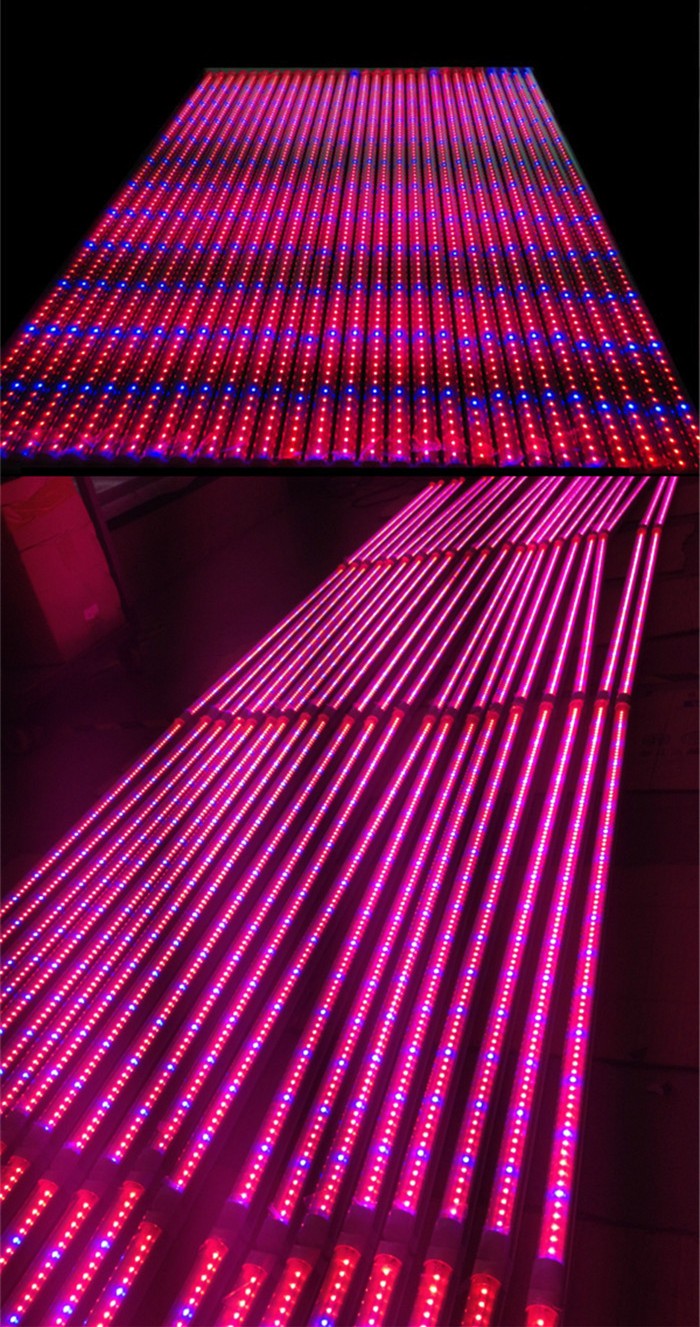 Customized Red Blue ratio 3:1 5:1 6:1 7:1 9:1 96pcs 2835SMD 1.2m 120cm 4ft 18W T8 Integrated fluence led grow light