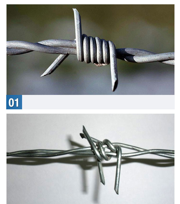 Single Barbed Wire