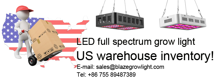 Greenhouse cultivation 650watt led grow light linear bar strip