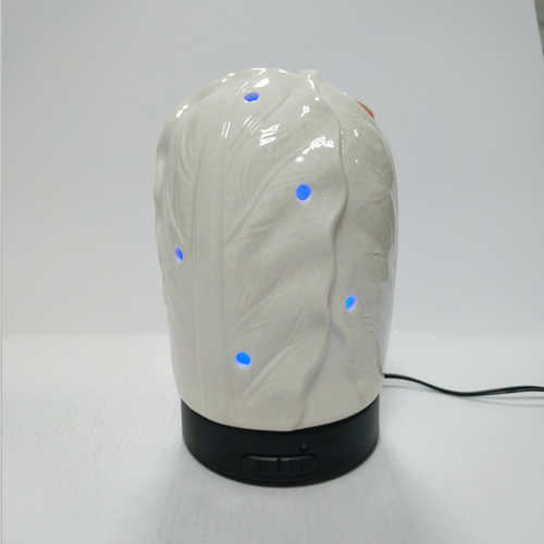 100ML Aromatherapy Diffuser Essential Oil Diffuser Aroma Diffuser