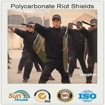 900*500*3mm Transparent Polycarbonate Riot Shield