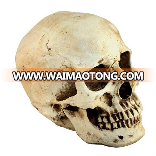 Halloween skeleton  decoration statue for home decoration