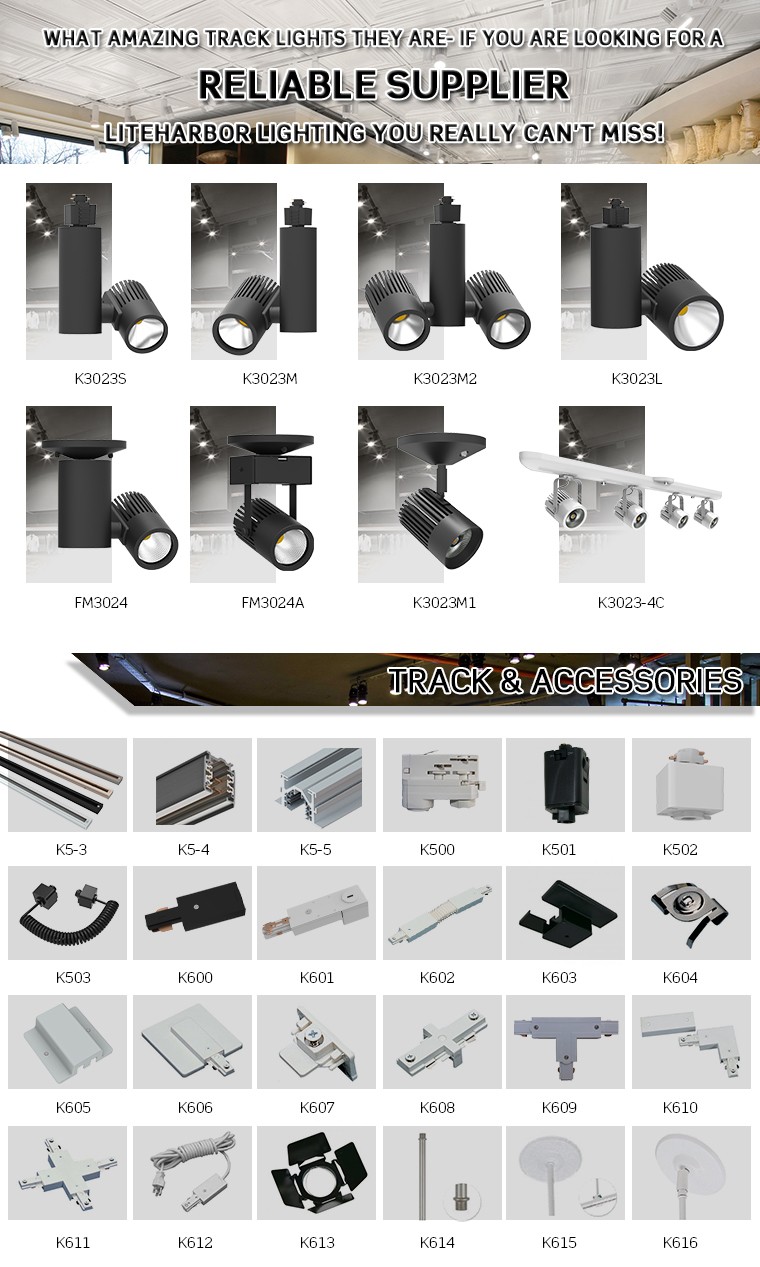 Fast Delivery Die-casting Aluminum Indoor 50W LED Track Light