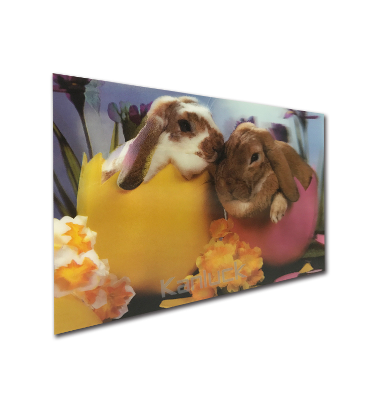 3D Lenticular Placemat