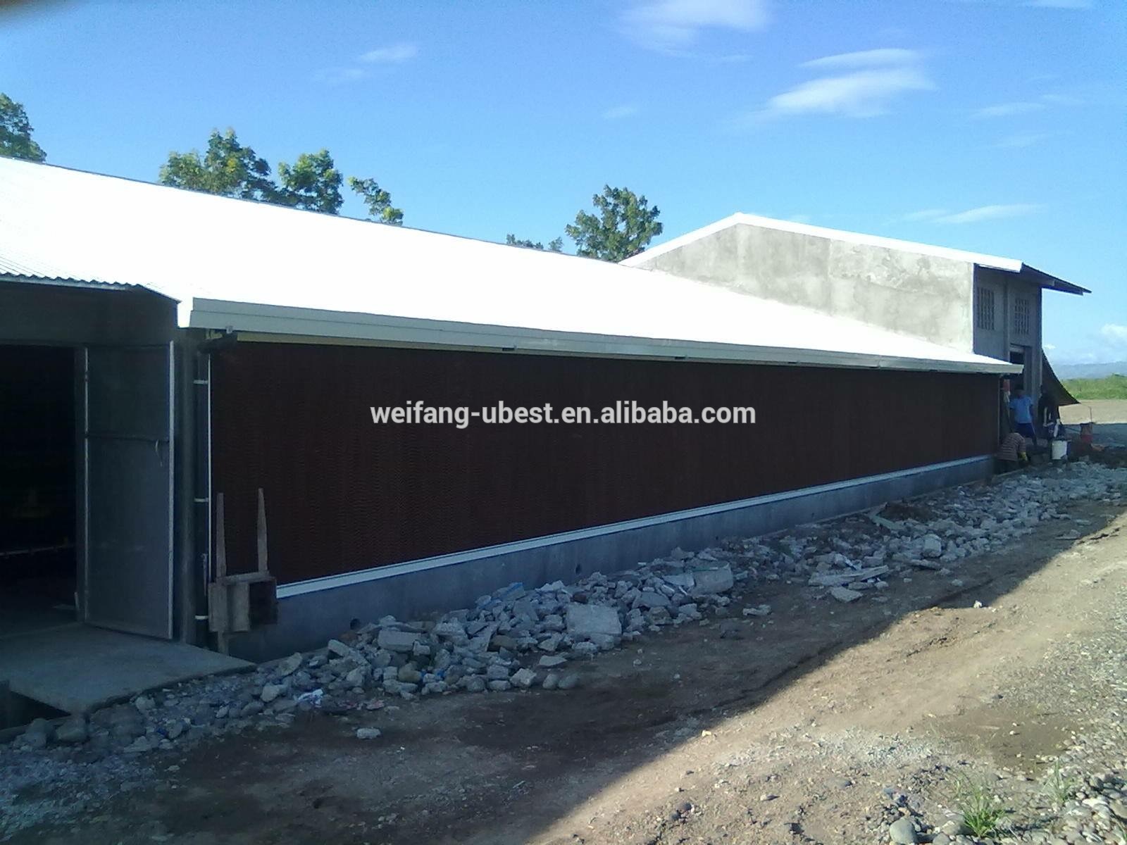 Good quality best modern house design poultry broiler house design