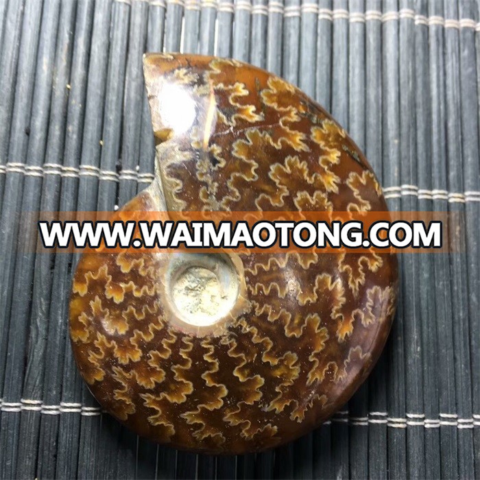 Natural Fossil Subminiature Conch Ammonite Fossil For Pendant