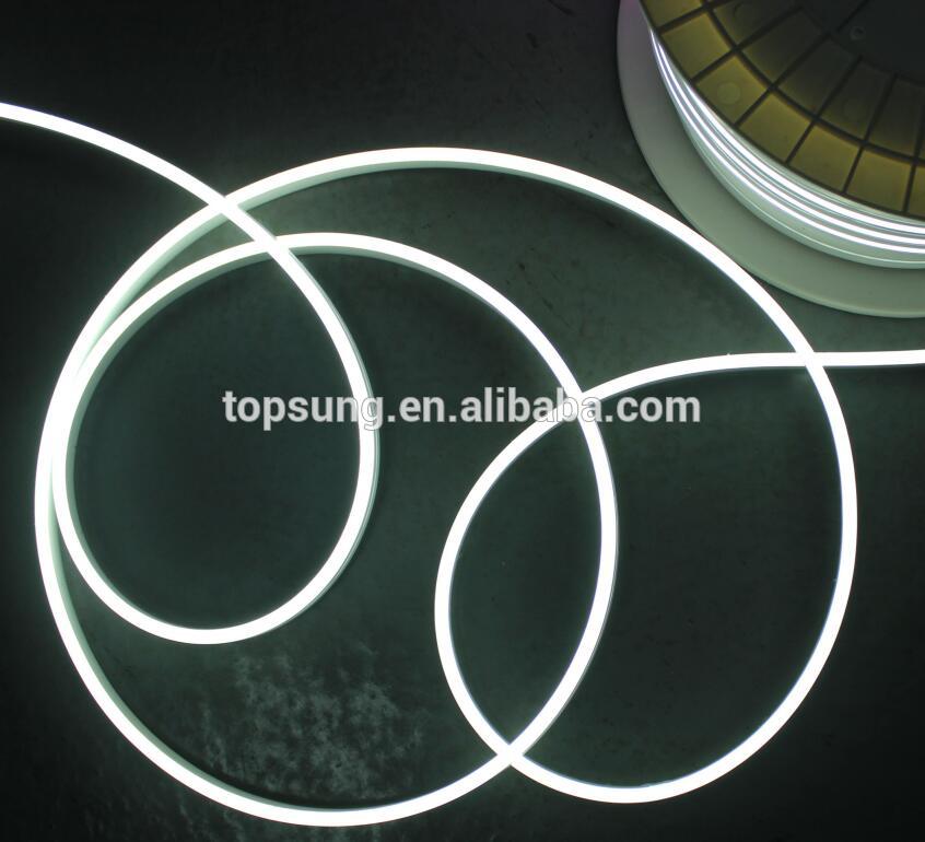 2.5cm Cut 12V 6*12mm flexible LED neon strip for letters waterproof IP65