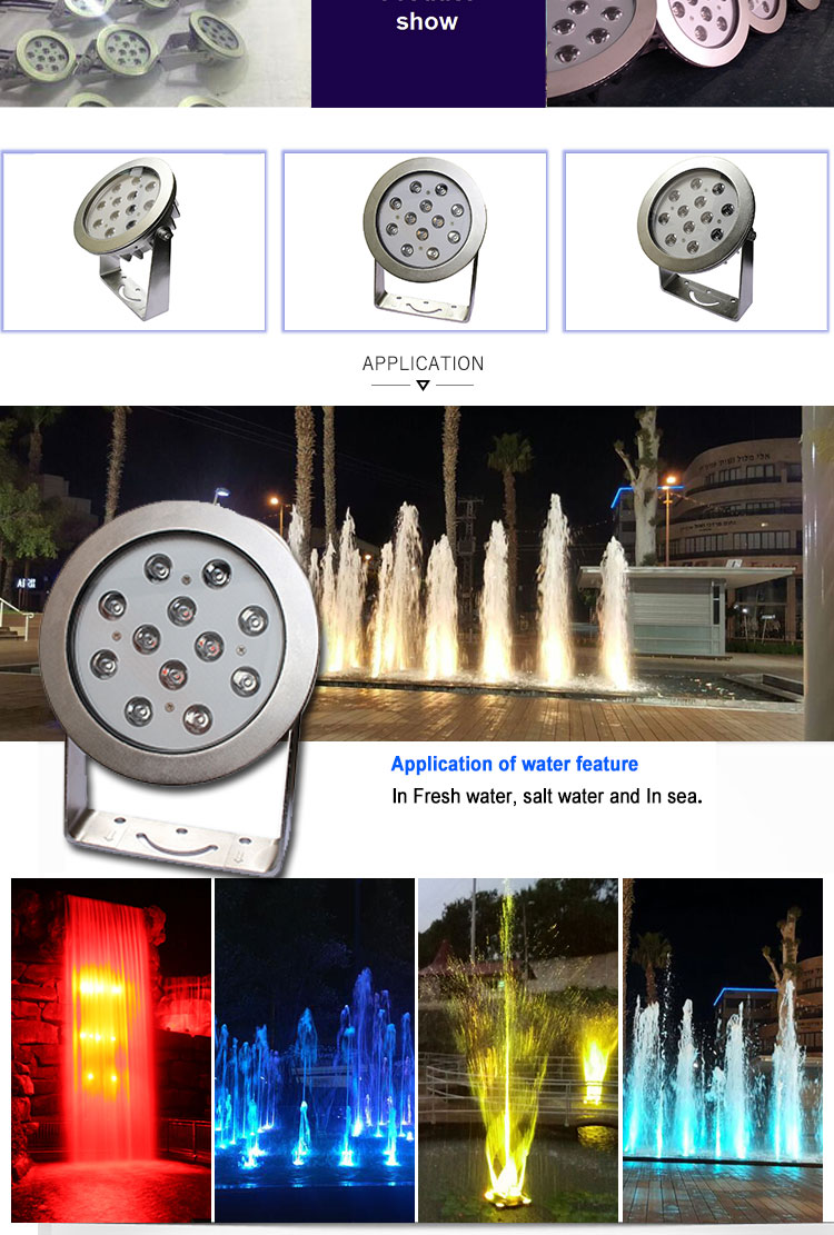 Water Feature RGB DMX Led Fountain Light 316SS