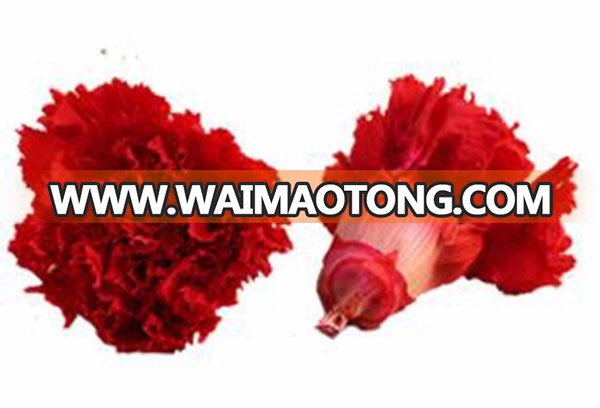 Mother's Day colorful carnation artificial flower