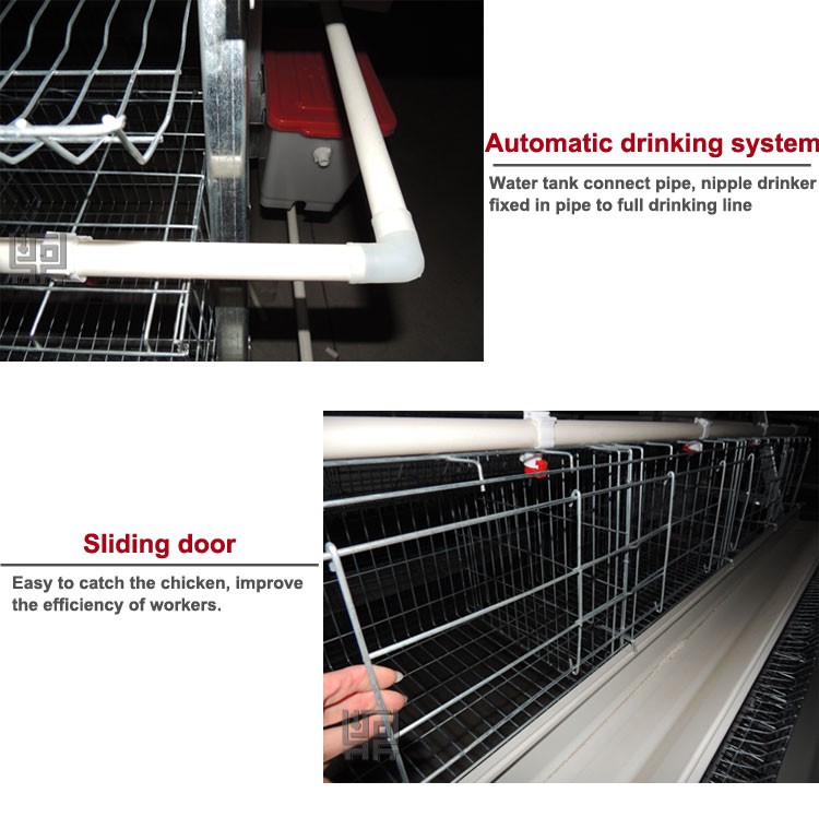 3 layers chicken cage/layer chicken cage