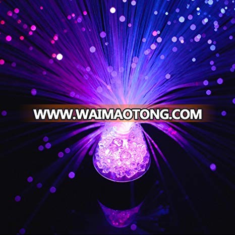 13 LED FIBER OPTIC CRYSTAL LIGHT