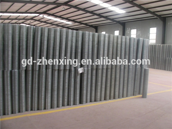 Electro Galvanized Welded Wire Mesh, cheap chicken wire coops guangzhou factory