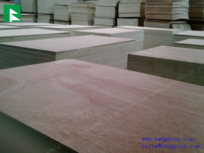 poplar plywood sheet / cheap plywood / birch plywood