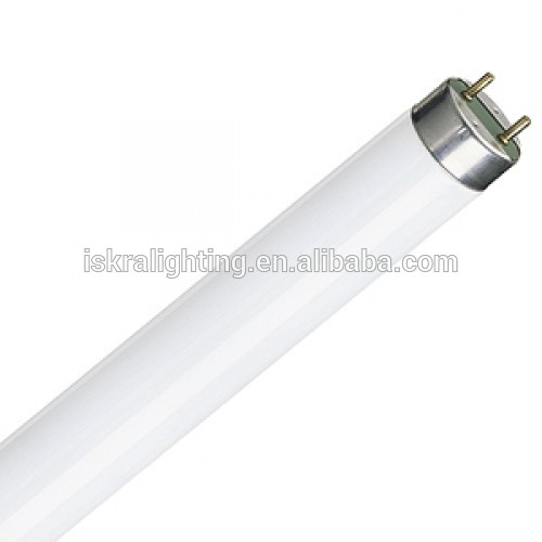 220v G13 18W 30W 36W common energy saving T8 fluorescent tubes lamps