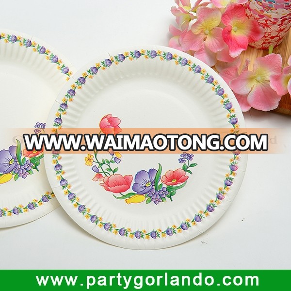 unique decorative themed birthday party plates