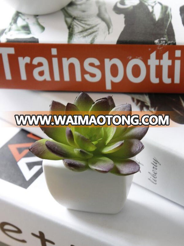 Hot sale plastic artificial succulent plant for fridge decoration