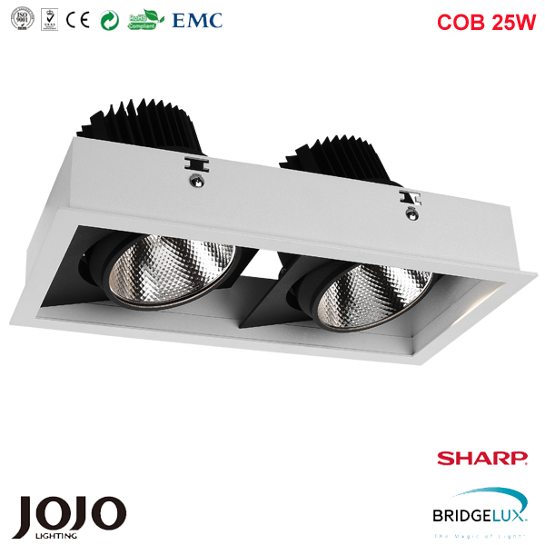 2 x 10W cob led commercial lighting with sharp led