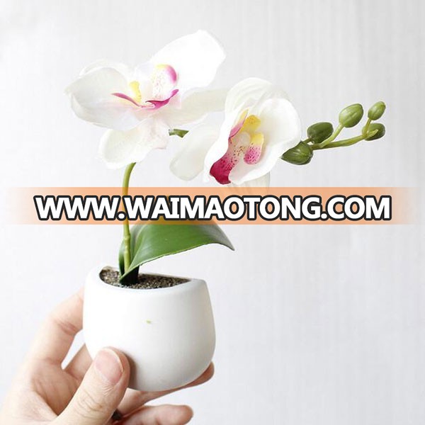 Hot sale plastic artificial succulent plant for fridge decoration