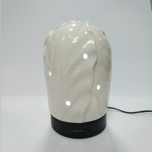 100ML Aromatherapy Diffuser Essential Oil Diffuser Aroma Diffuser