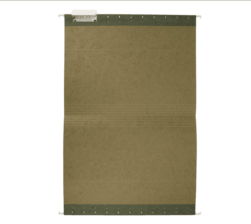 Hanging File Folders - Letter Size, Green, 25-Pack