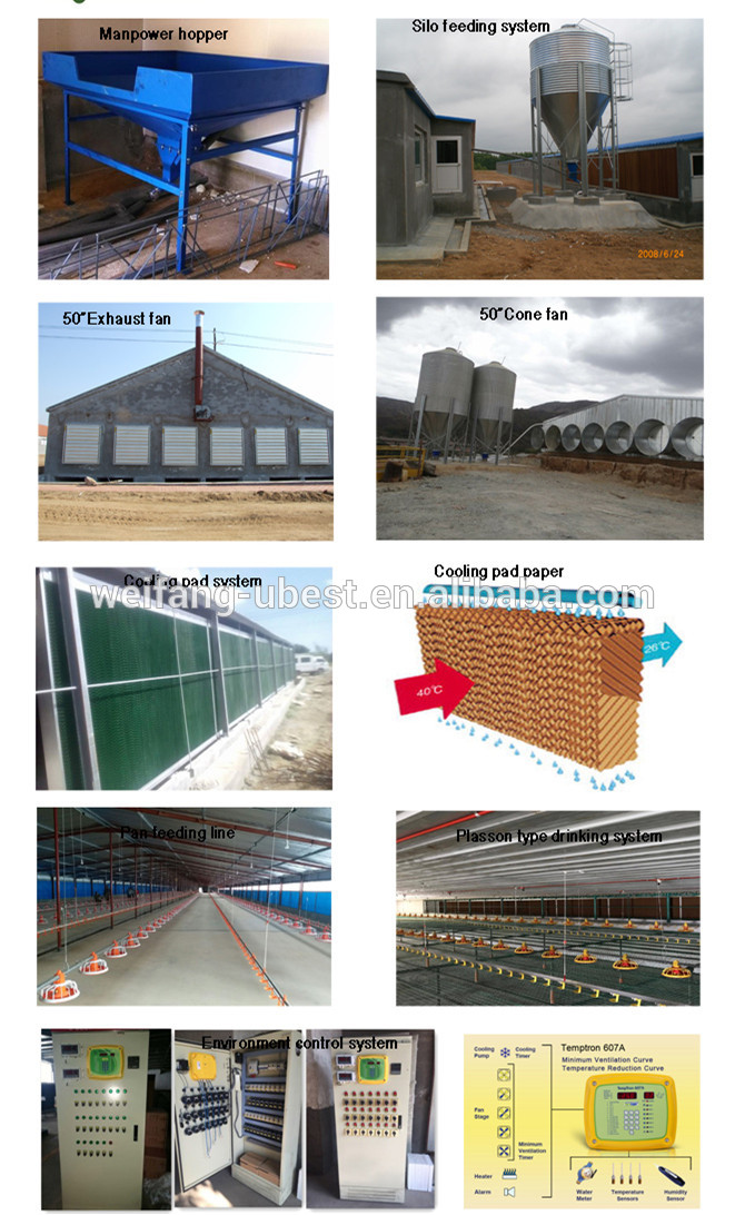 auger feed system for poultry, pan feeding system, poultry automatic feeding system