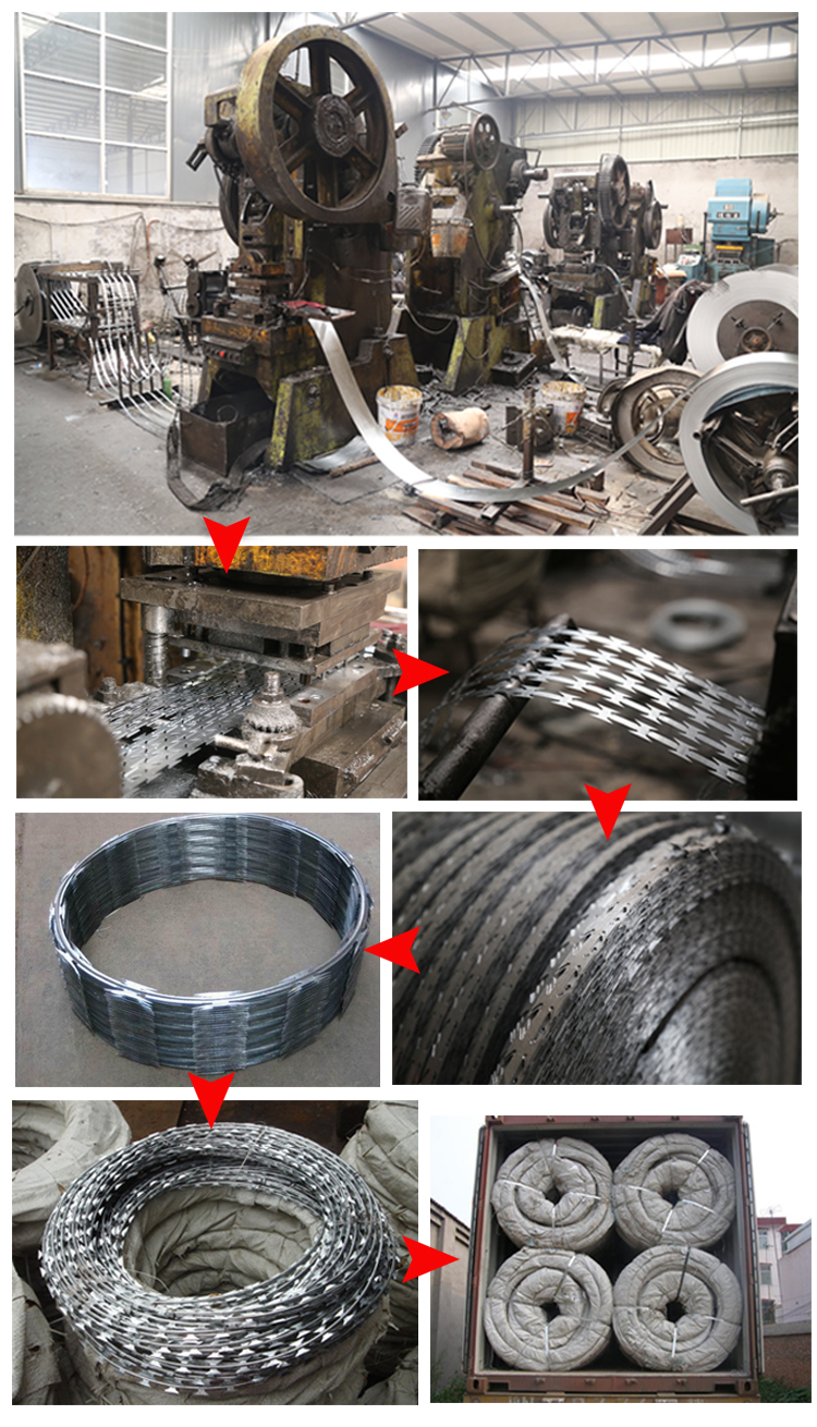 Hot dipped galvanized concertina razor wire/razor barbed wire from factory(Shenzhou Factory)