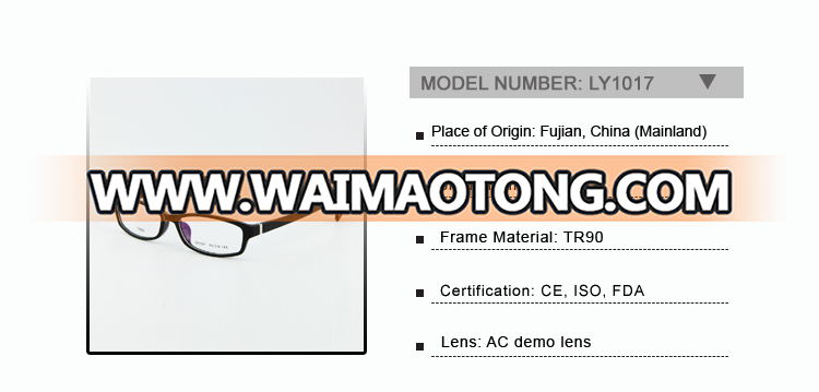 LY-1017 China Factory Trendy Premium Full-rim TR90 Eyewear Frame Rx