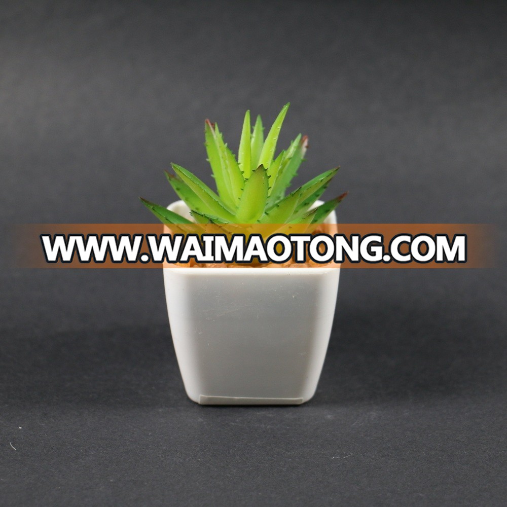 Factory mini plants plastic succulent artificial plants