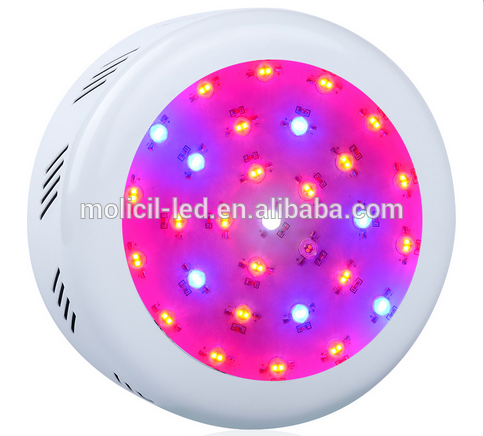 hot sale high efficient 200W 300W 400W 600W 800W 900W 1000W 1200W 1500W 1600W 1800W 2000W custom led indoor plant grow light