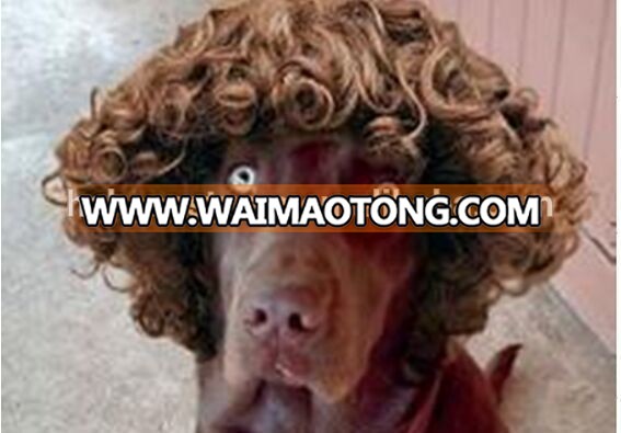 pet wig ,dog wig