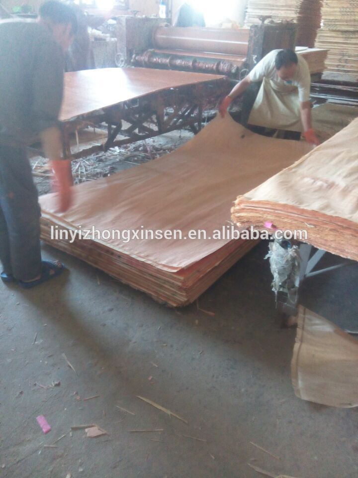 pine core plywood/korindo plywood/plywood plate