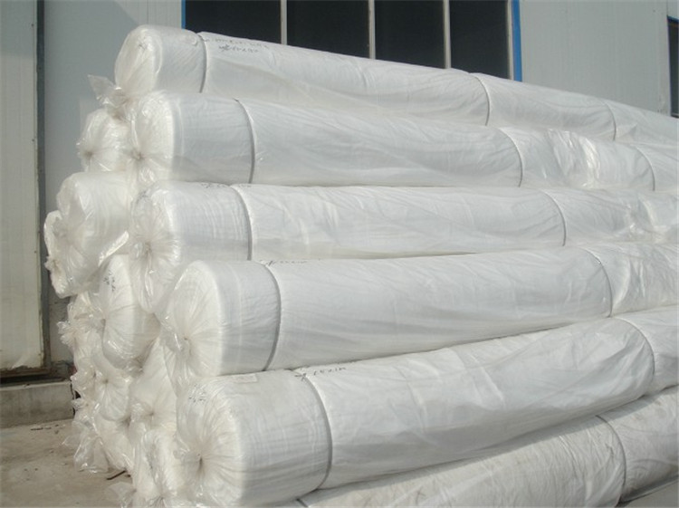 Factory direct Waterproof anti-seepage HDPE Geocell