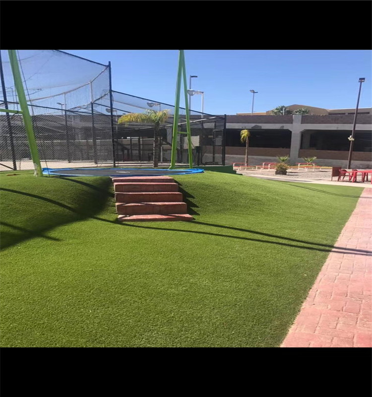 China factory well-recognized landscaping natural grass roll for soccer playground