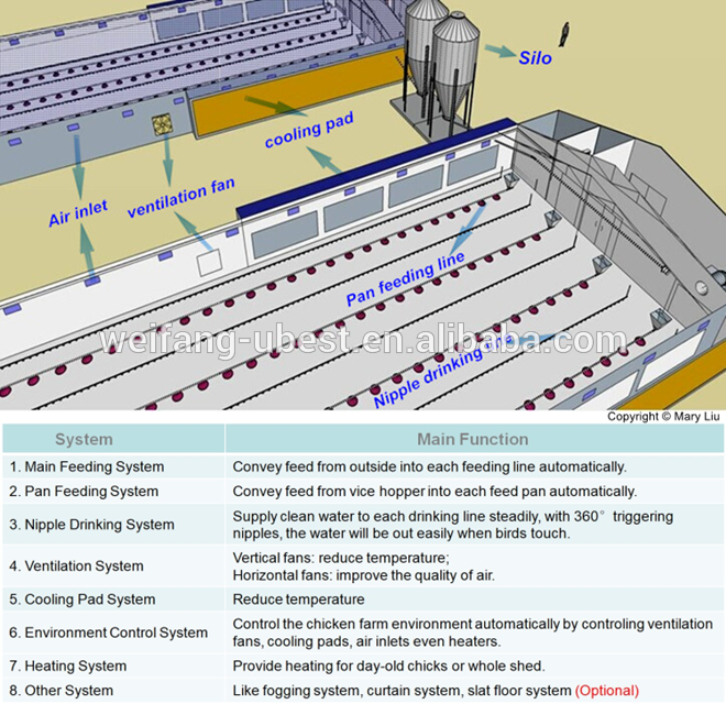 chinese supplier broiler chicken farming equipment for meat production