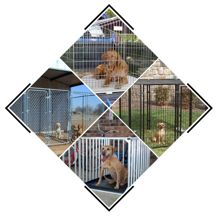 Eco-Friendly Portable and Foldable Breathable Metal Wire Dog Crates Cages Kennels