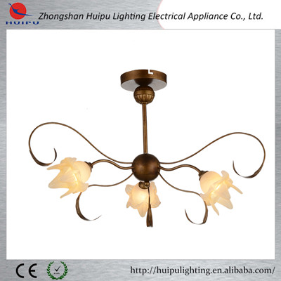 Modern simple elegant indoor light fixture of ceiling light