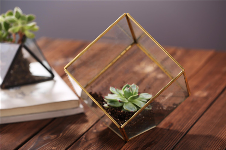 Wholesale Rectangle Shape Glass Geometric Terrarium