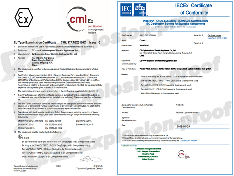 IECEX and ATEX Certified Explosion-proof Metal Electrical Switch Box