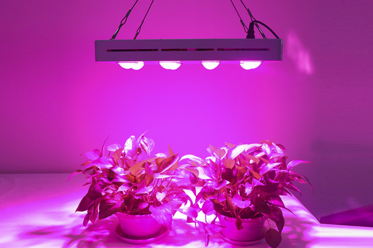 2019 new design full spectrum  spider 8 COB chip 1200w LED grow light