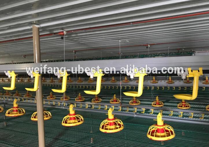 automatic poultry drinkers in chicken farm