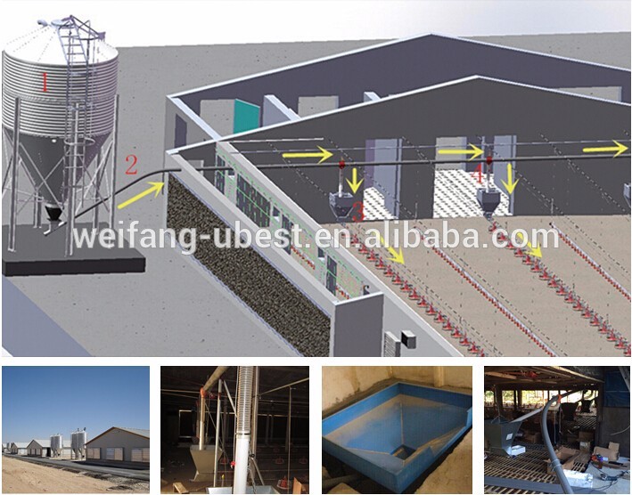 Turnkey environmental controlled poultry farm design layout for chicken shed