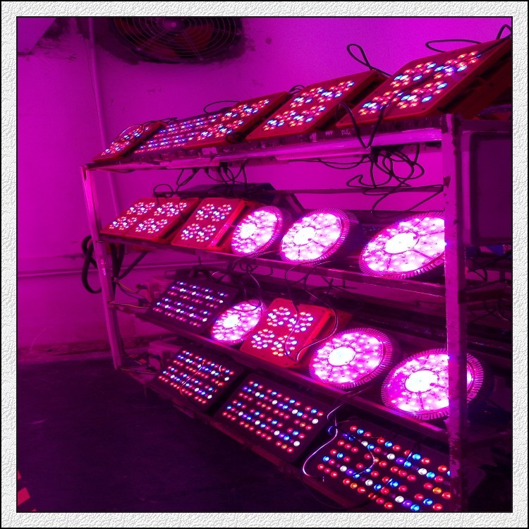 48pcs*3W 90watt Hydroponic UFO led plant grow light strip for Medical Plants Veg Flower