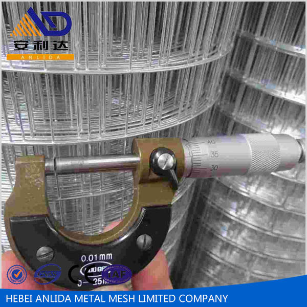 Galvanized Welded Wire Mesh / Welded Wire Mesh Fence / G.I.Welded Iron Wire Mesh 50x50 Specifications